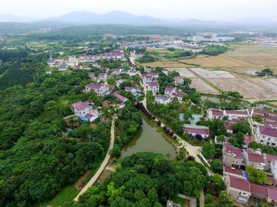 植綠不止，春山可望！馬鞍山市這個縣扛起高質量發展“綠色擔當”