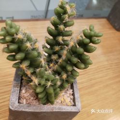 馬鞍山雨山區(qū)面包飲品團(tuán)購指南 價(jià)格、地址、營業(yè)時(shí)間及美食推薦